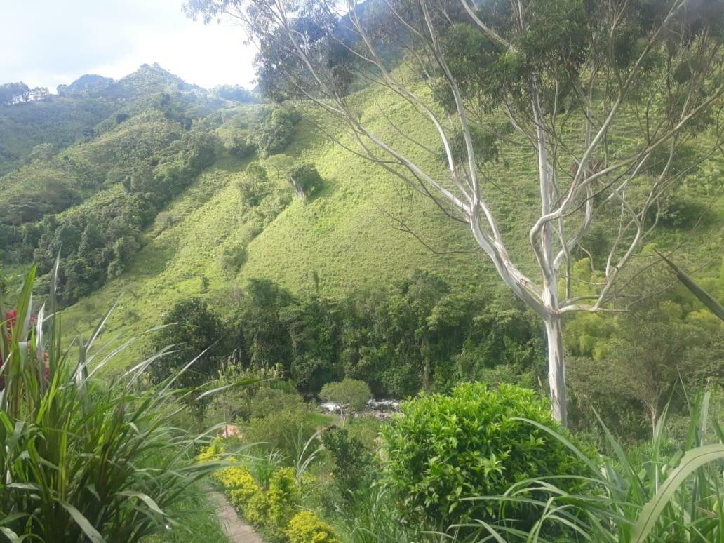 Hotel Dulce Campestre Jardin Luaran gambar