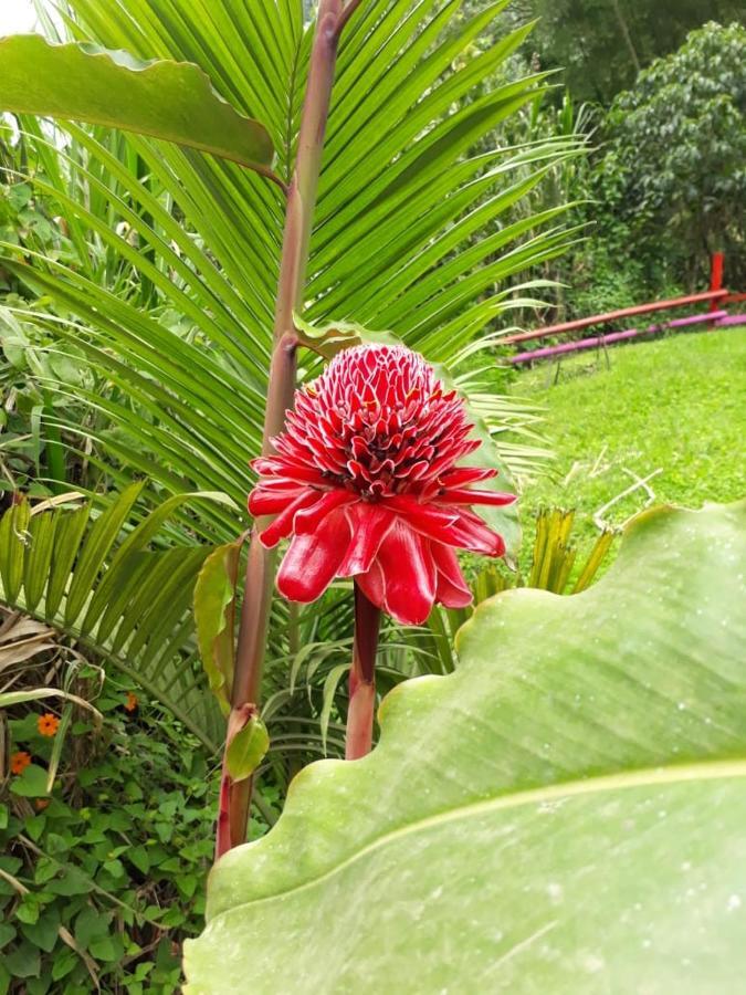 Hotel Dulce Campestre Jardin Luaran gambar